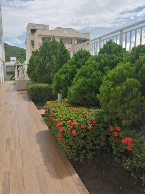 En El Rodadero Con Piscina Y Jacuzzi Apartamento